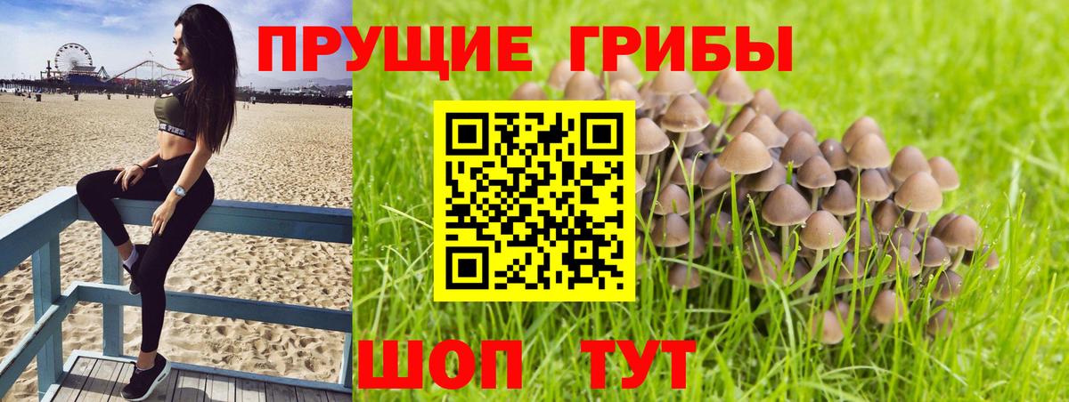 Галлюциногенные грибы мицелий Мирный