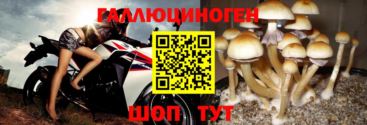 Псилоцибиновые грибы прущие грибы  Вход с VPN  Мирный 